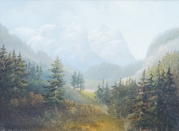 E. Jaques, Mountainous landscape, signed and indistinctly dated 1920?, oil on canvas, 22 x 29cm, gilt frame